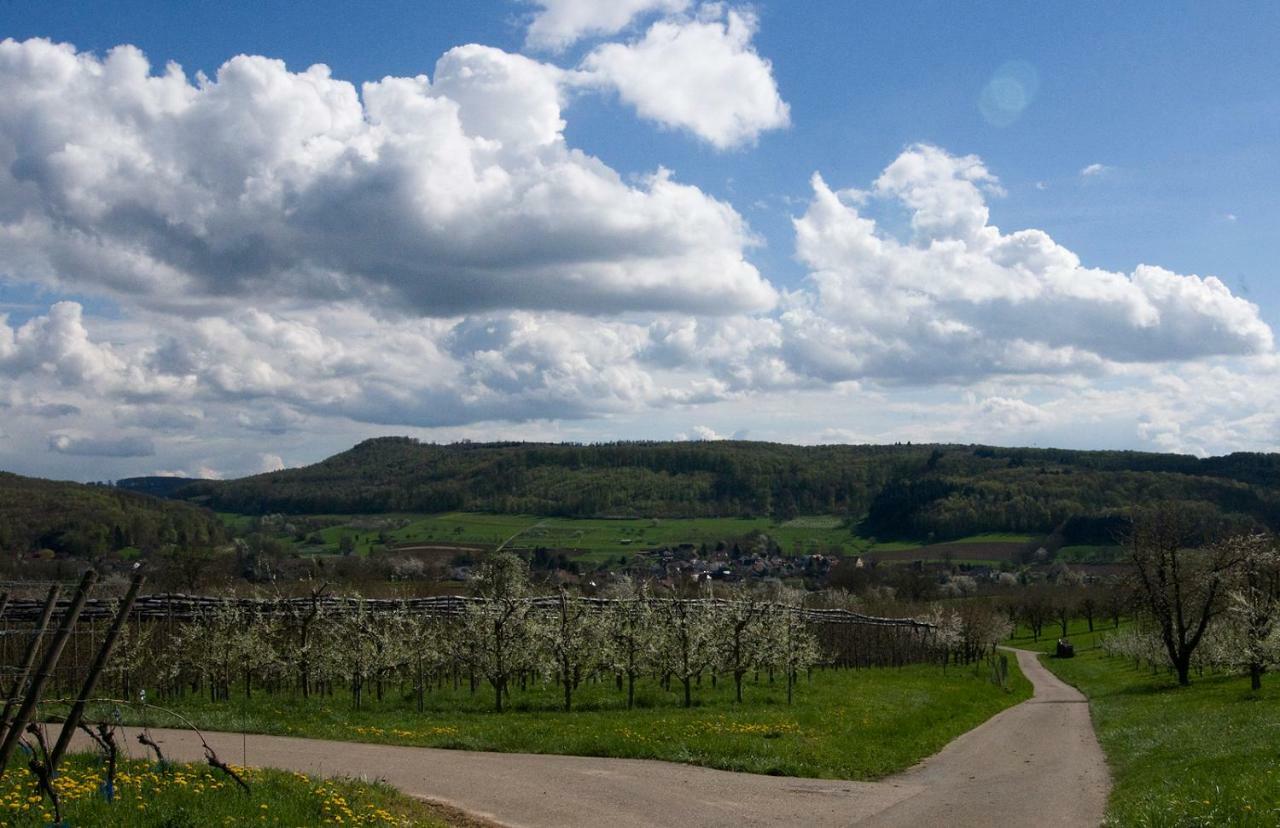 Ferienhaus Suedbaden Schliengen Esterno foto